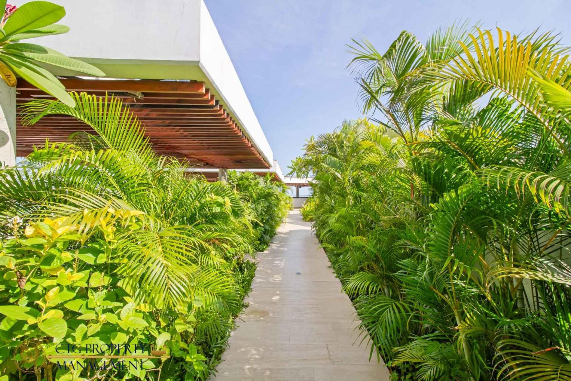 Martinique Cartagena, Beautiful 1 & 2 Bedroom Apartments Eksteriør billede